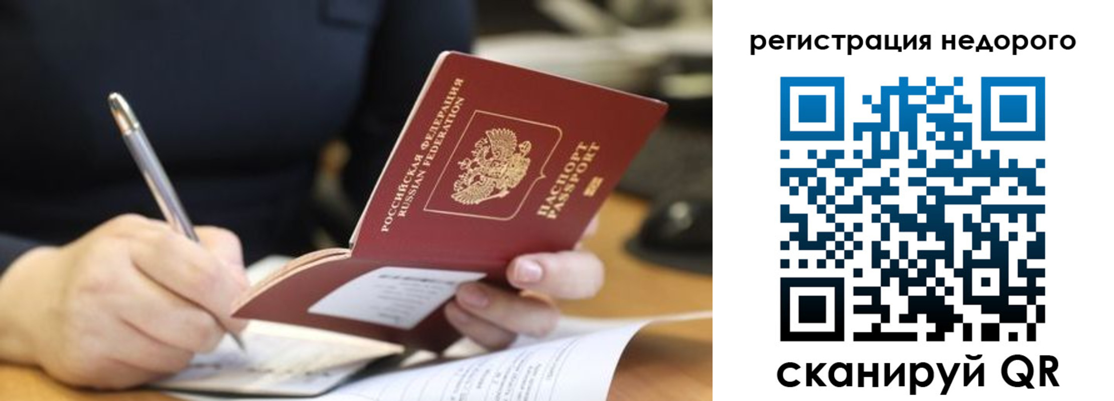 прописка гарантия в Стародубе